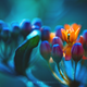 Illustration for article titled Wildlife photos that blur the line between reality and fantasy
